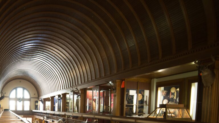 341327244 799350955086242 5603107804100613416 n 768x432