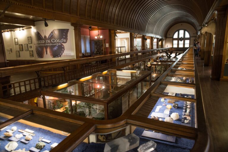 468101656 10161017058067986 7107339269912587922 n 768x513