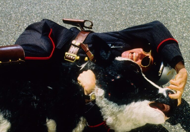 Screenshot 2025 04 15 090418 768x536