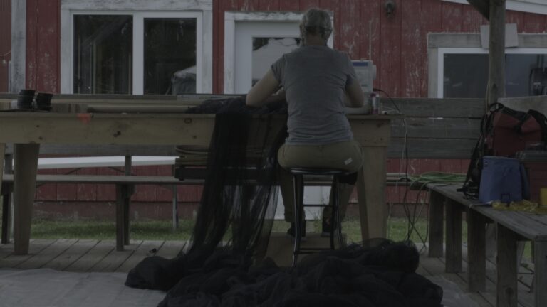 Still 2025 04 02 105030 1.9.1 768x432