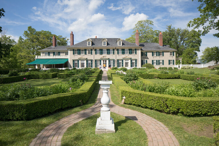 overview panel 768x512