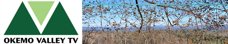 OVTV Banner Spring2 copy 768x149