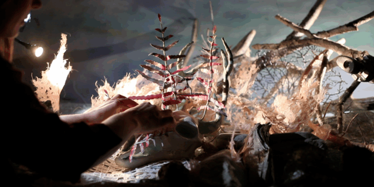 ironwine bts 03 768x385