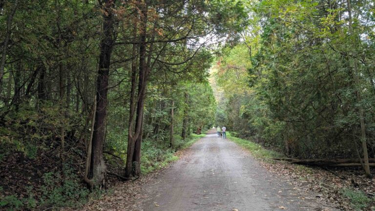 PXL 20250927 135310231 768x432