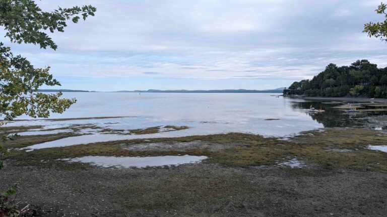 PXL 20250927 140219772 768x432