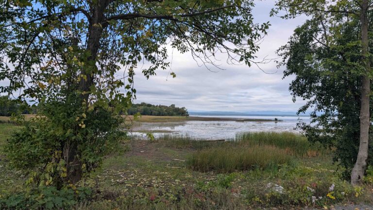 PXL 20250927 140222641 768x432