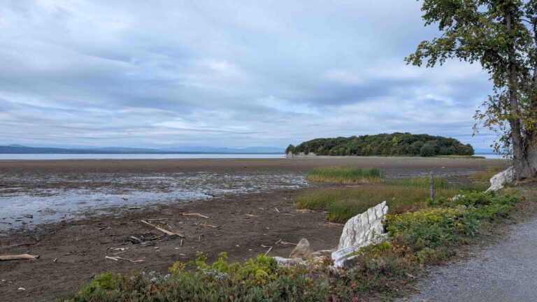 PXL 20250927 140704414 768x432