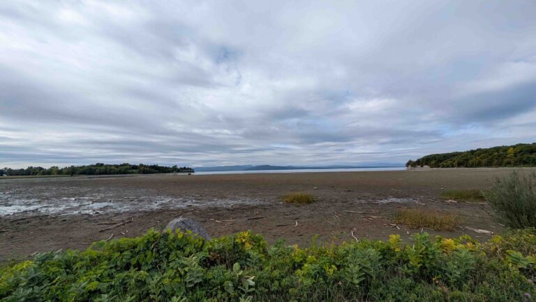 PXL 20250927 140854840 768x432