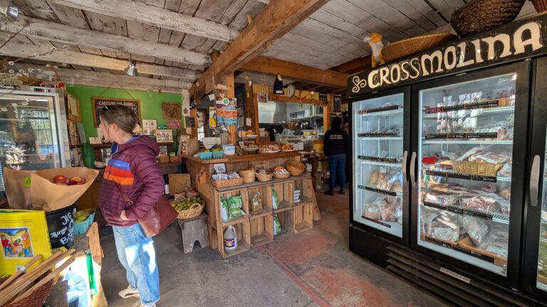 PXL 20251011 132708757 768x432