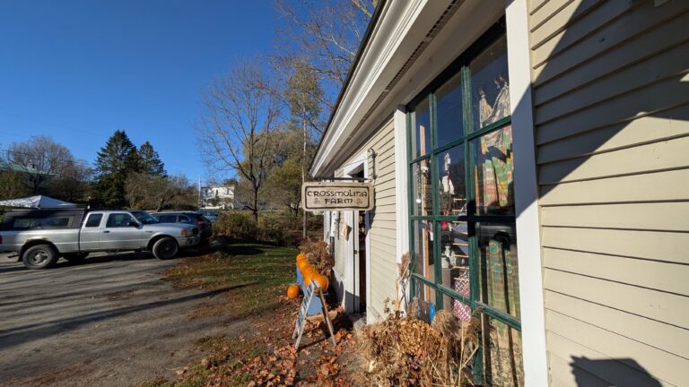 PXL 20251011 132728736 768x432