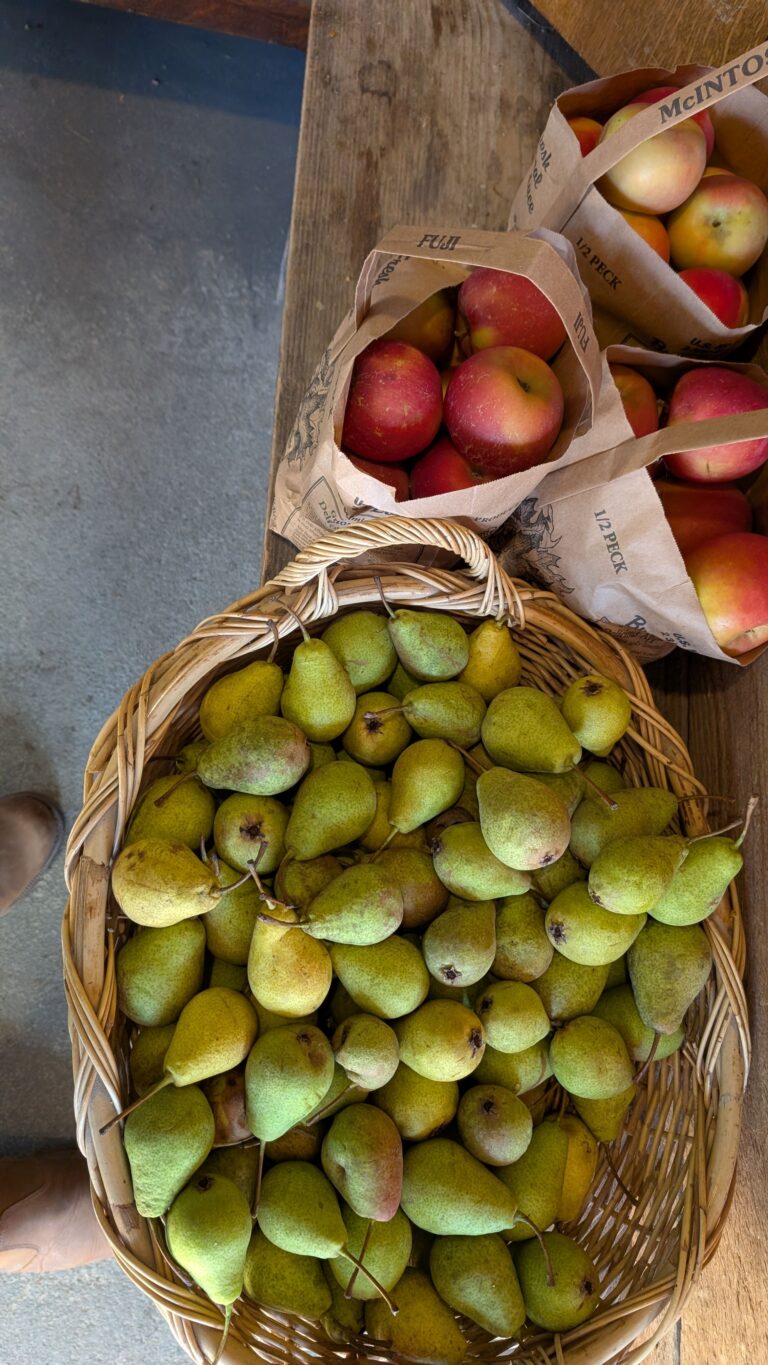 PXL 20251011 132842035 768x1365