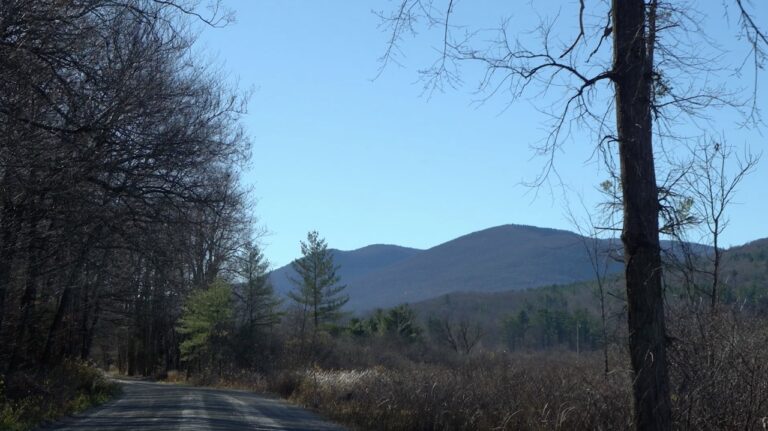 Screenshot 2025 03 14 at 8.41.08 PM Large 768x431