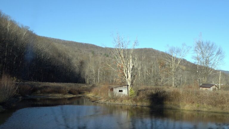 Screenshot 2025 04 01 at 2.48.30 PM Large 768x431