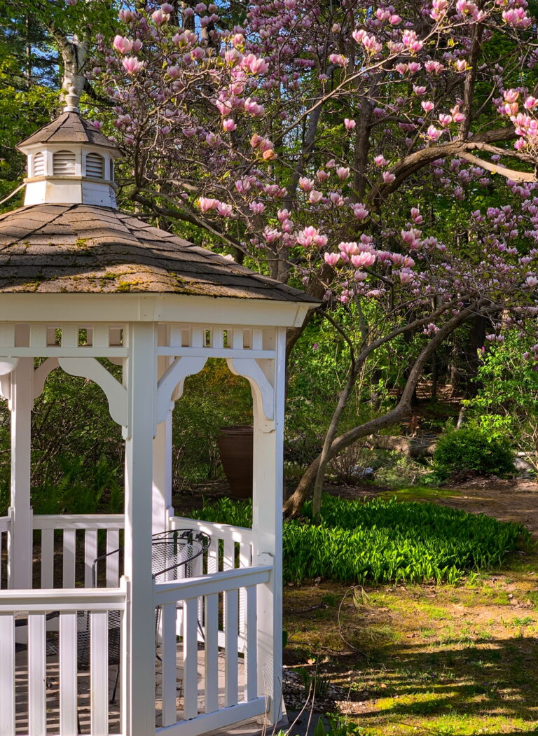 0728F68E EB72 4EA1 9417 0A1C6BD43B3B 768x1051