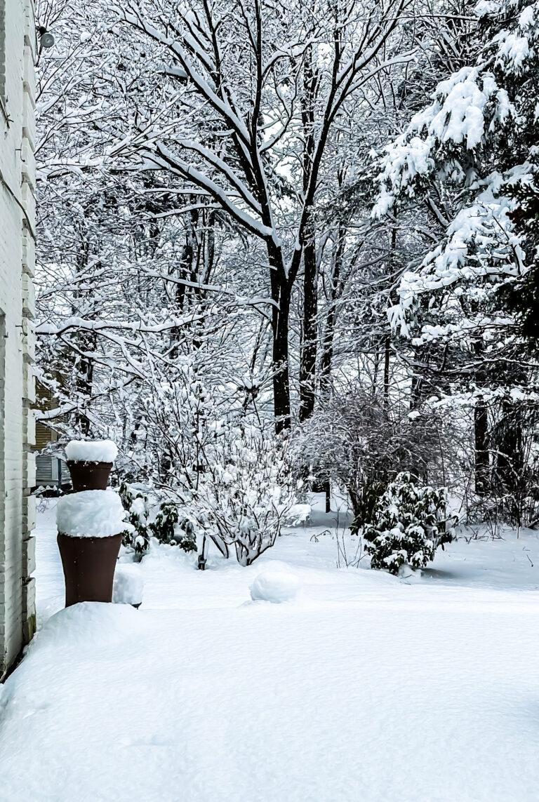 28BC075C E65C 4DE6 9FB0 4D47BBBAB86B 768x1143