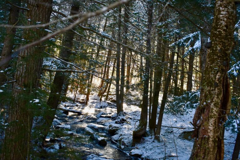 Daytime winter stream 2 768x512