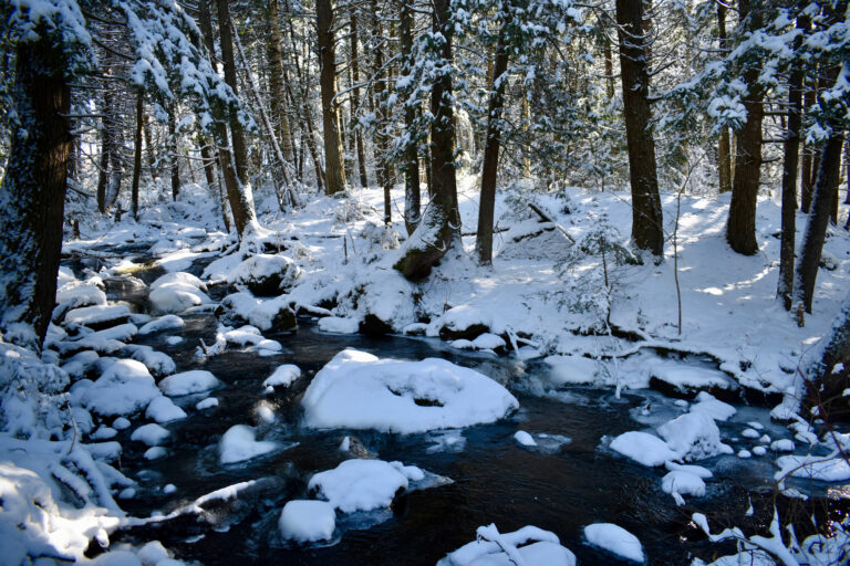 Daytime winter stream 768x512