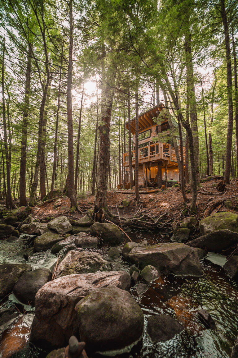 DirtandGlass Treehouse and Stream Vertical 768x1152