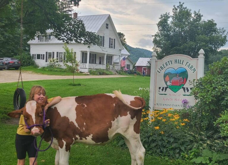 Ella loving her calf on the front lawn 768x557