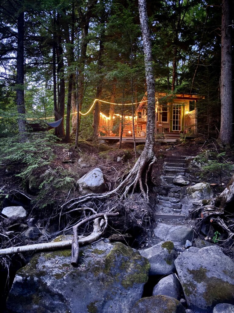 HD Evening Forest Spa Stream 768x1025