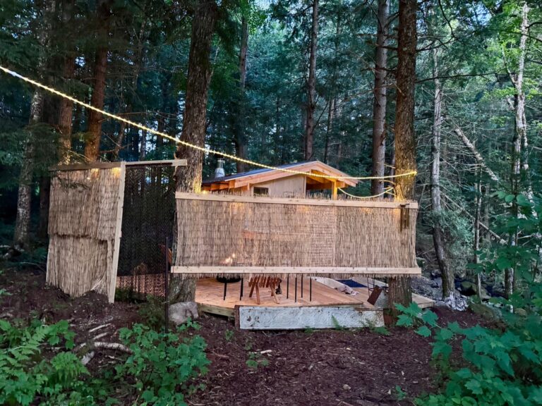 HD Forest Spa Arrival 768x576