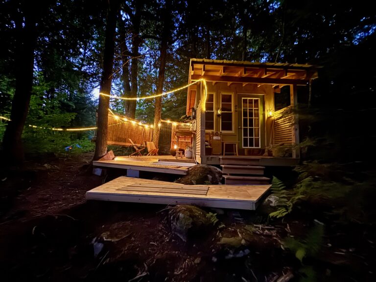 HD Forest Spa Night 768x576