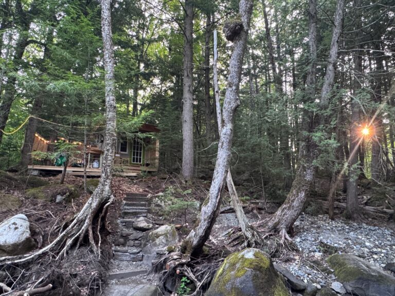 HD Forest Spa Stream Sun 768x576