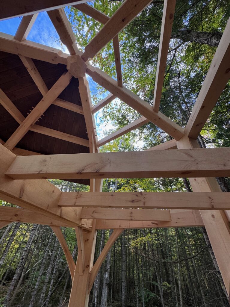 HD Future Crystal Cabin Detail 3 768x1025