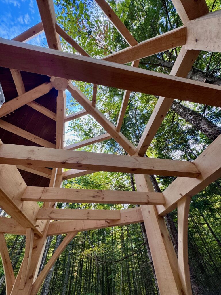 HD Future Crystal Cabin Detail 6 768x1025