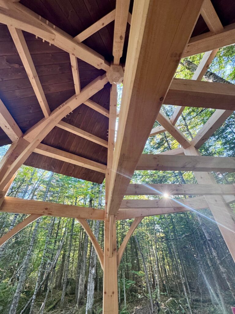 HD Future Crystal Cabin Detail2 768x1025