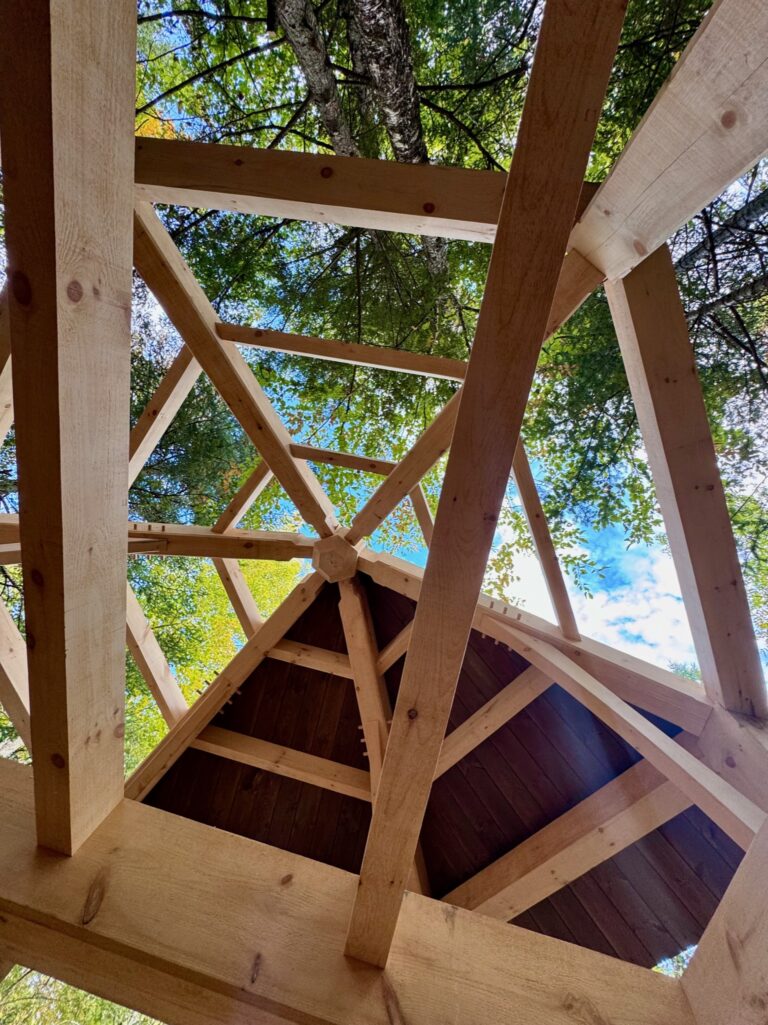 HD Future Crystal Cabine Detail 4 768x1025