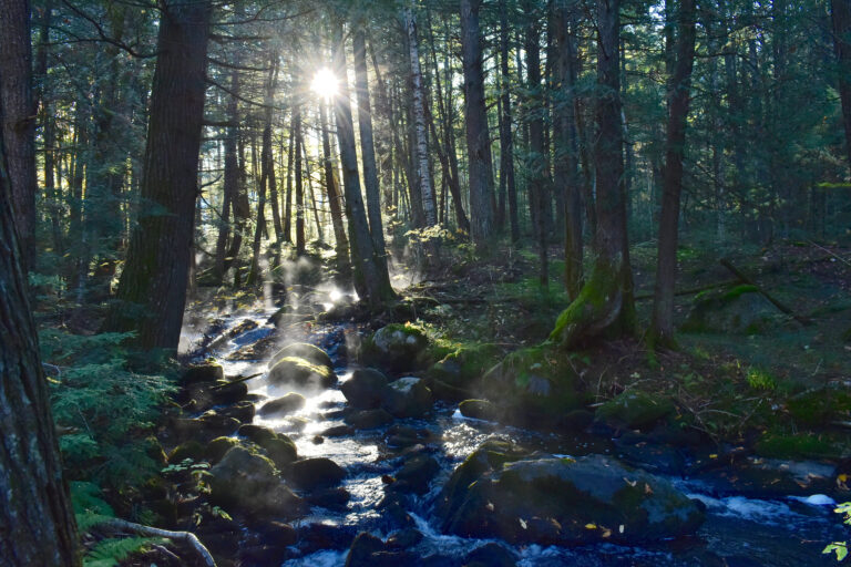 HD Summer Steamy Stream Horizontal 768x512