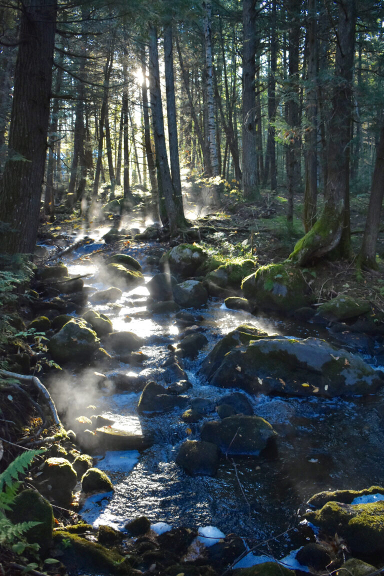 HD Summer Steamy Stream Vertical 768x1152