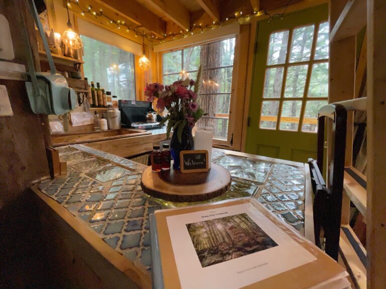 HD Treehouse Interior 5 768x576