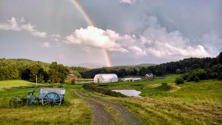 IMG 20140727 192115748 HDR 768x432