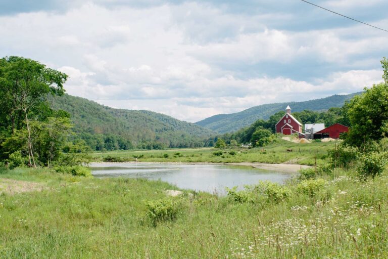 LHF river valley view in summer 768x512