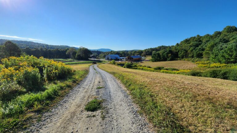 View 1 768x432