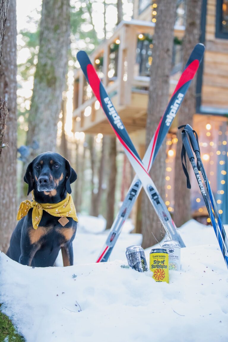 heathergrayphotographyvt wintergathering4 768x1152