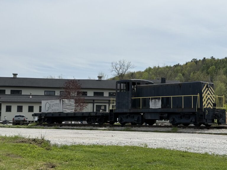 IMG 0991 768x576